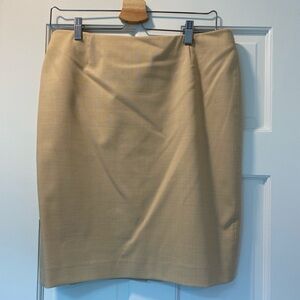 Elegant Tan Women's Skirt